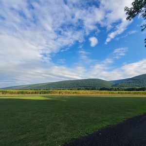 Meet your Posher, Lesley